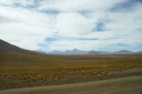
DSC00224